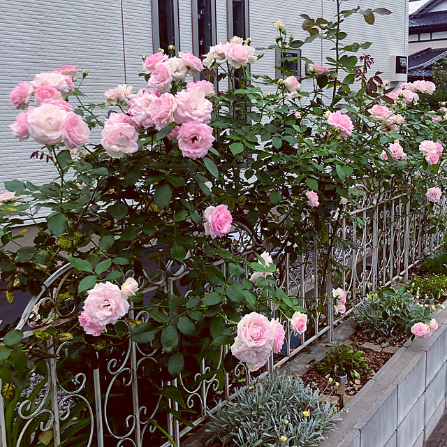 tomoさんの部屋