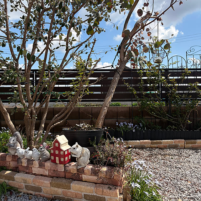 ronronさんの部屋