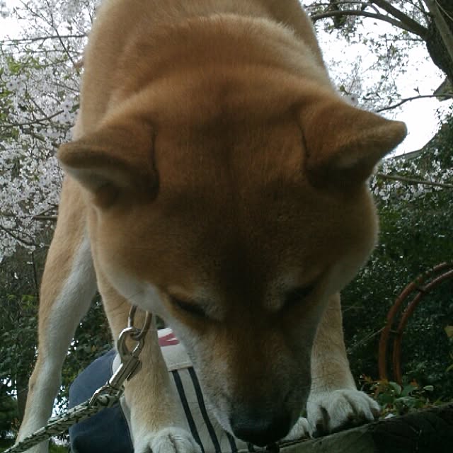 kotaさんの実例写真