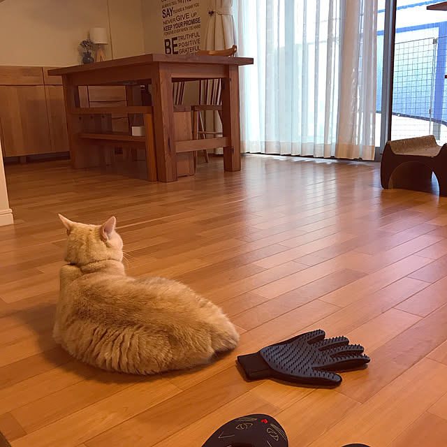 hiyupan88さんの実例写真