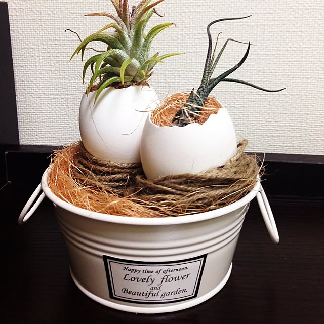 ivyさんの実例写真