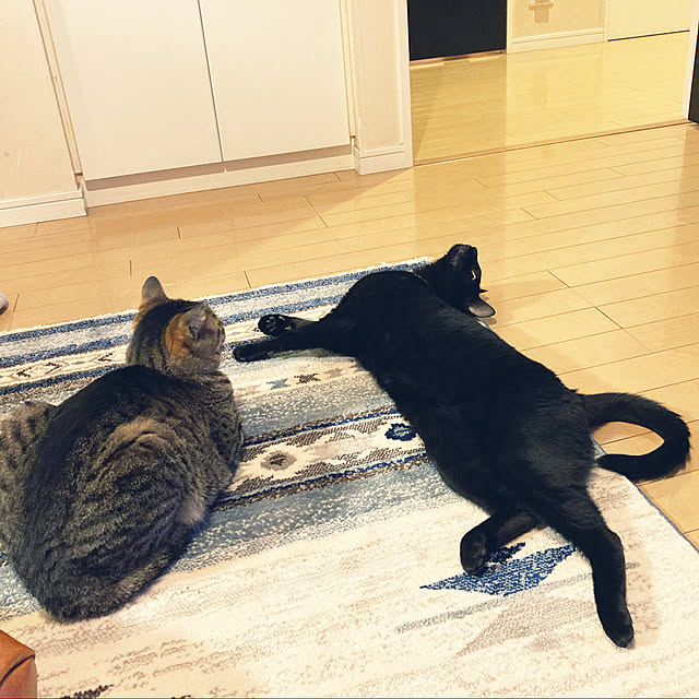 suemonta14さんの実例写真