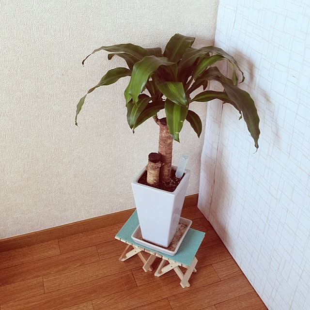 airiさんの実例写真