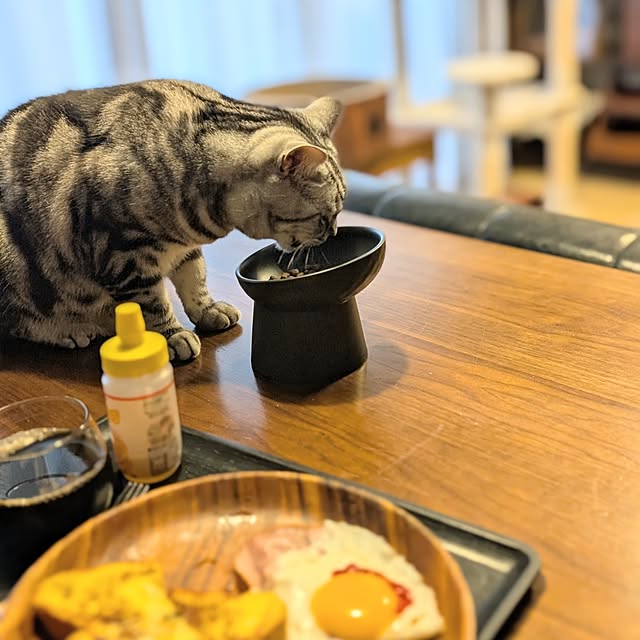 lovepeaceさんの部屋