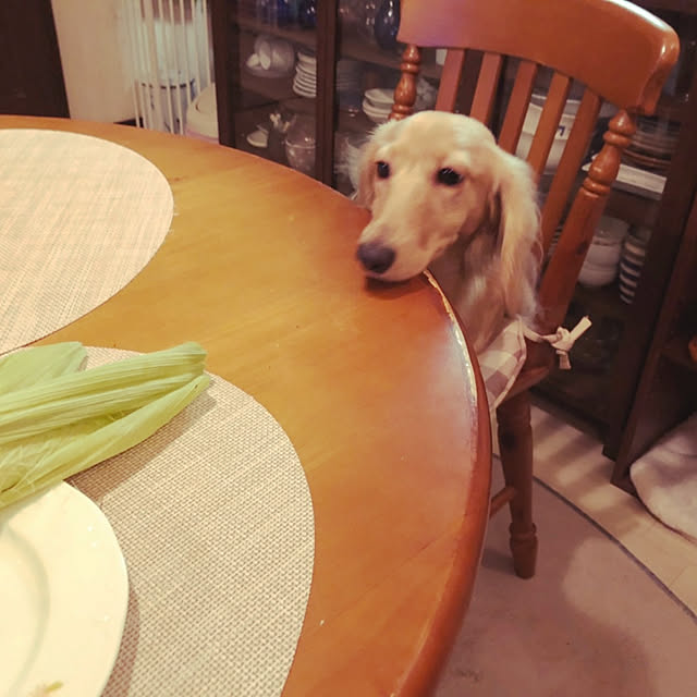JUNMARIKAさんの実例写真