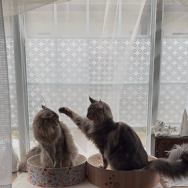 mayumiさんの部屋