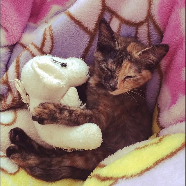 nmeeeさんの実例写真