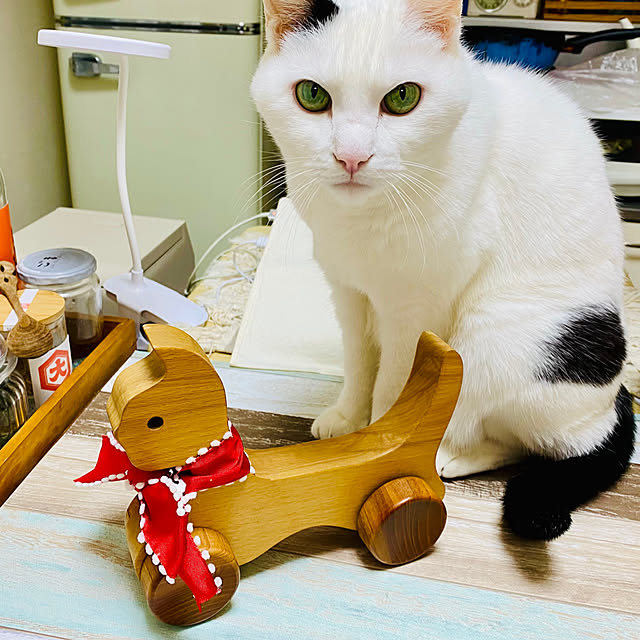 YUKAさんの実例写真