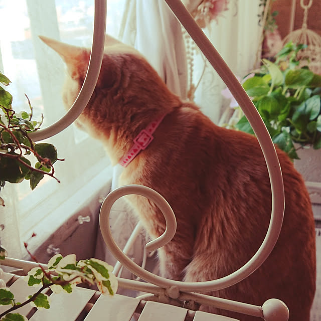 asuminさんの実例写真