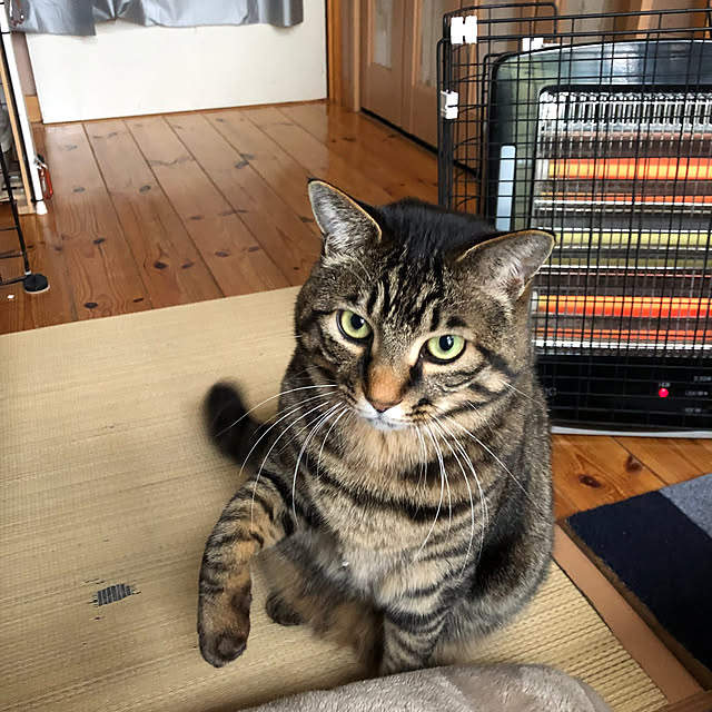 kumako0147さんの実例写真