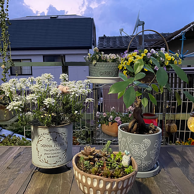 DIY/観葉植物/カフェ風/照明/多肉植物...などのインテリア実例 - 2023-04-17 12:35:01