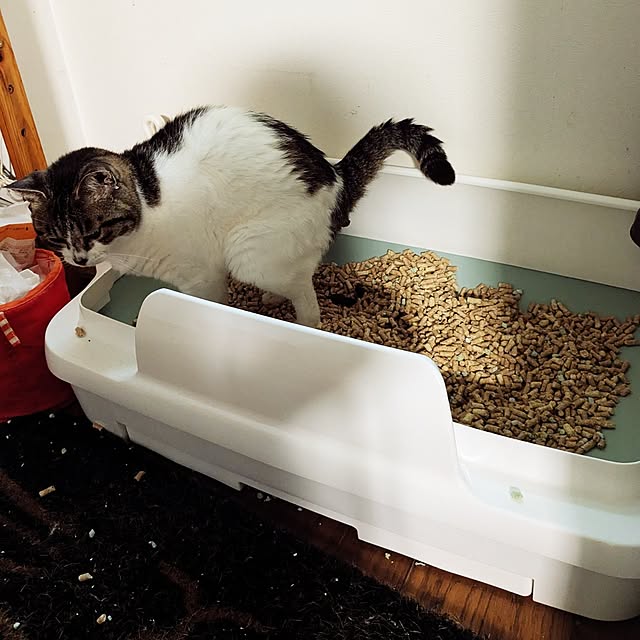hiroさんの部屋