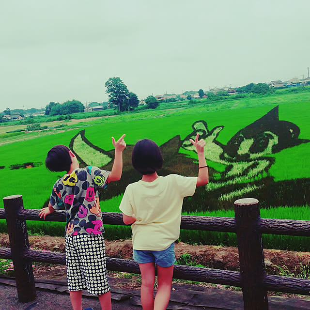 実例写真