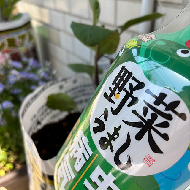 SIELUさんの実例写真
