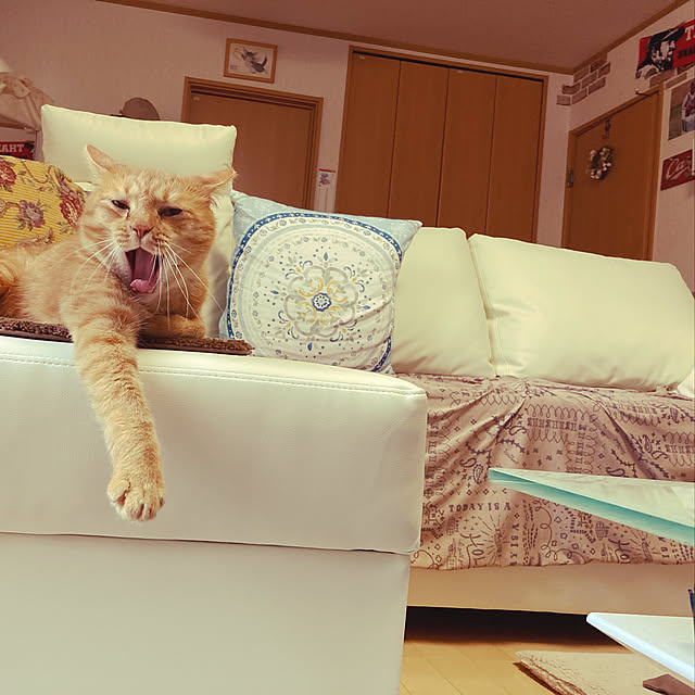 akemayaさんの実例写真