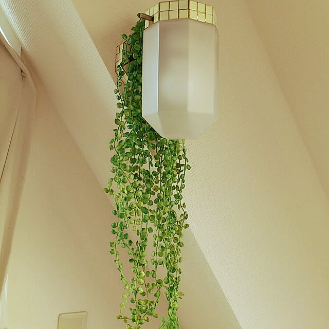 checoさんの実例写真