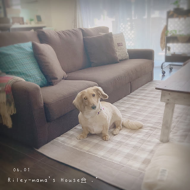 -Riley-mama.-さんの実例写真