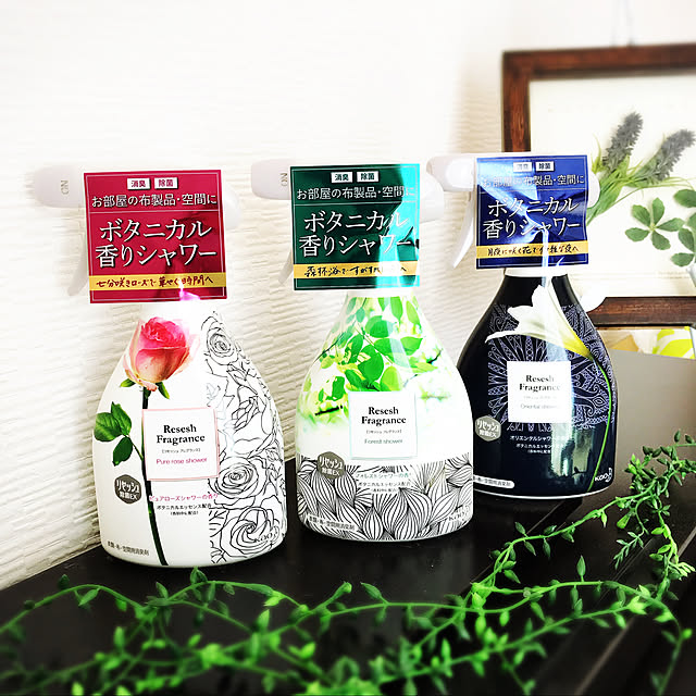 punknさんの実例写真