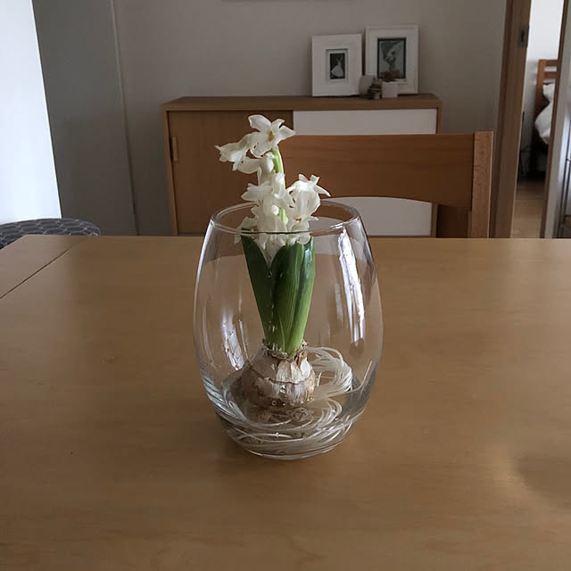 Chokoさんの実例写真