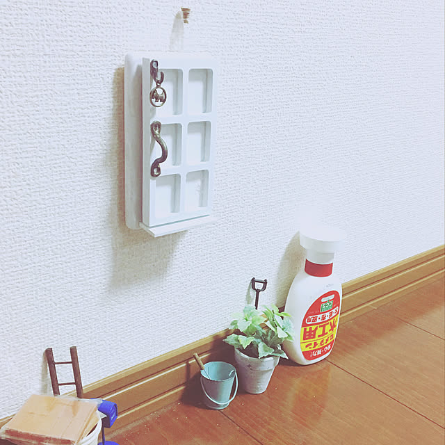 haru0x0さんの実例写真