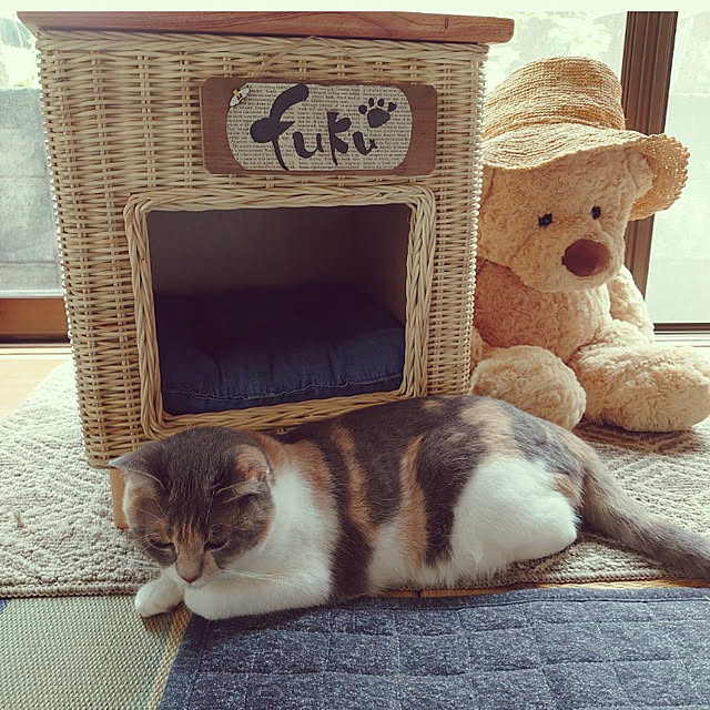 fukuさんの実例写真