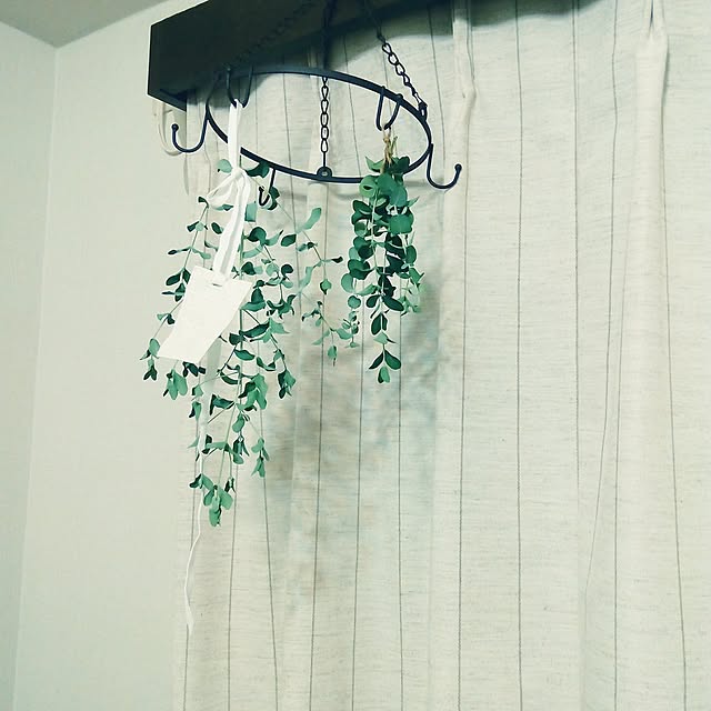 lilyさんの実例写真