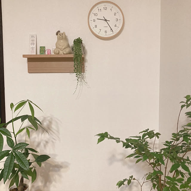 cahoさんの実例写真
