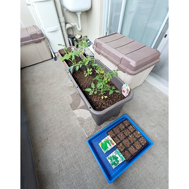 ToReTaRiさんの実例写真