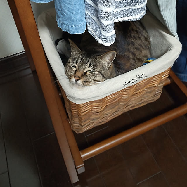 komugiさんの実例写真