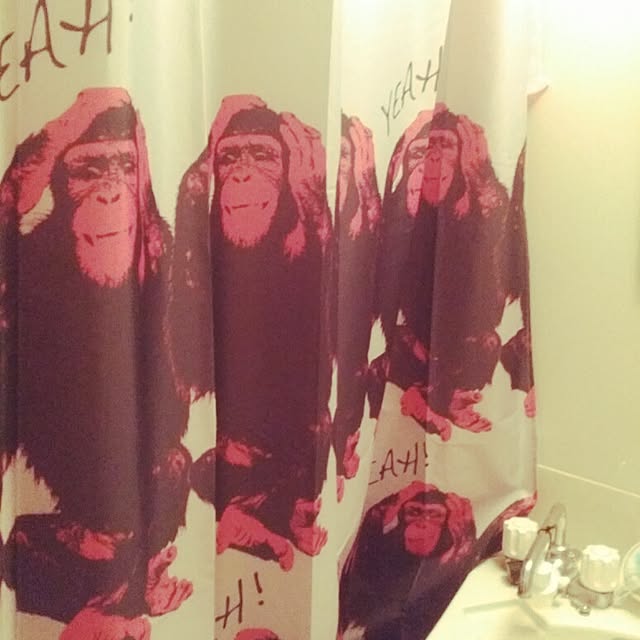 chiitamさんの実例写真
