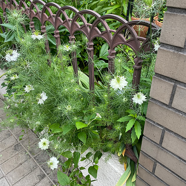 mamizaさんの部屋