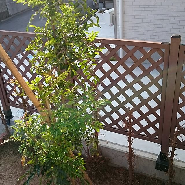makitomonさんの実例写真