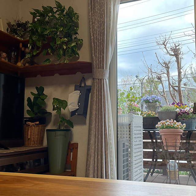 ronronさんの部屋