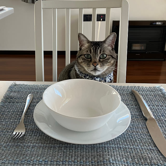 ronさんの実例写真