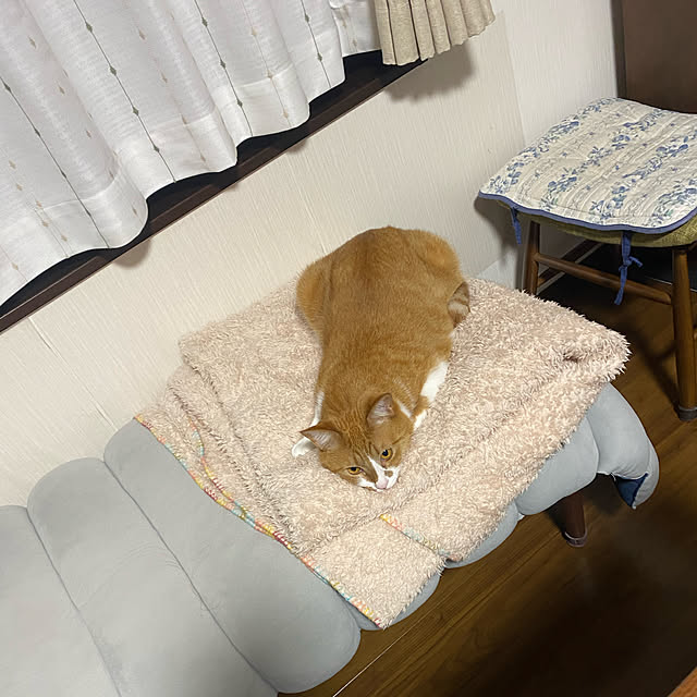 MUGIさんの実例写真