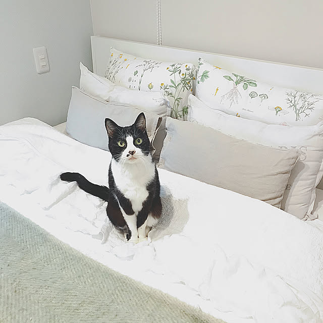 lovecatさんの実例写真