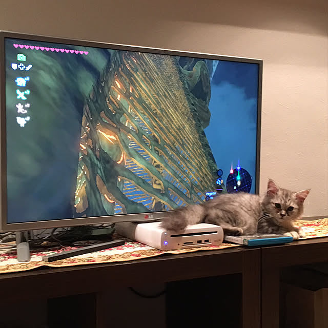 prchさんの実例写真