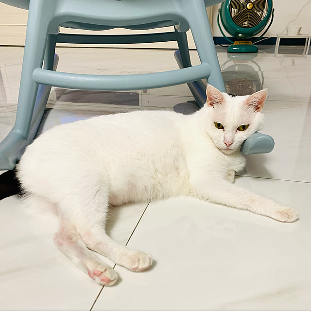 pcu110さんの実例写真