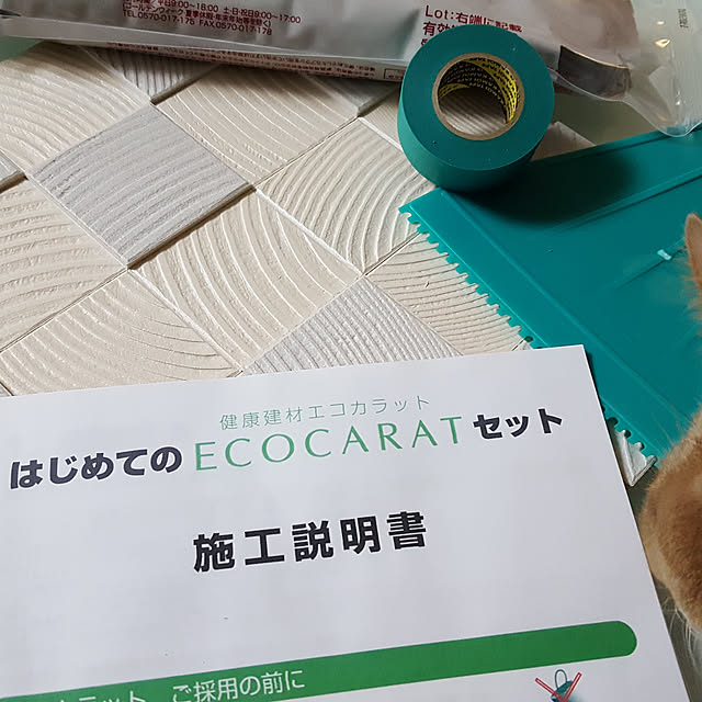 megu.catさんの実例写真