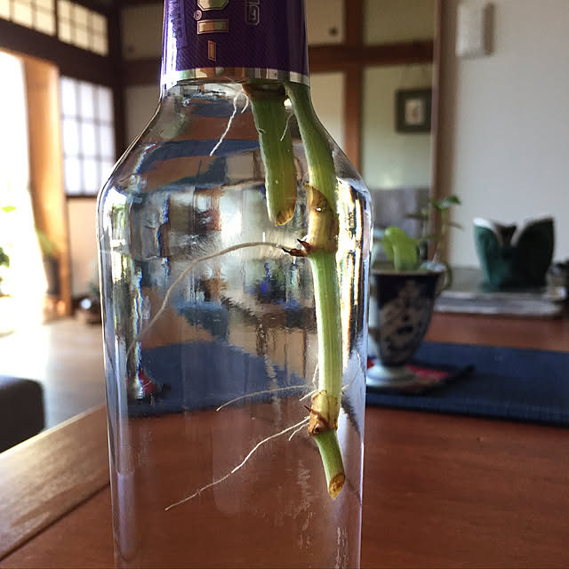 buchiさんの実例写真