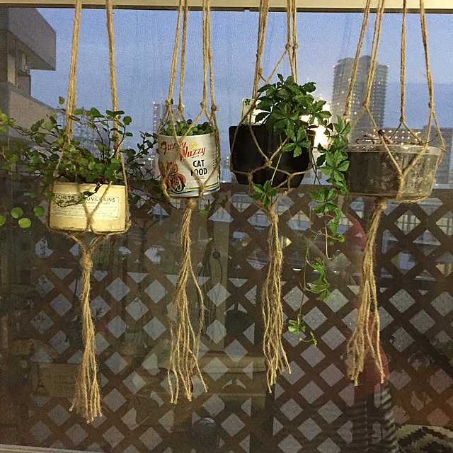 oxmaixoさんの実例写真