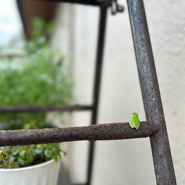 nana77さんの部屋