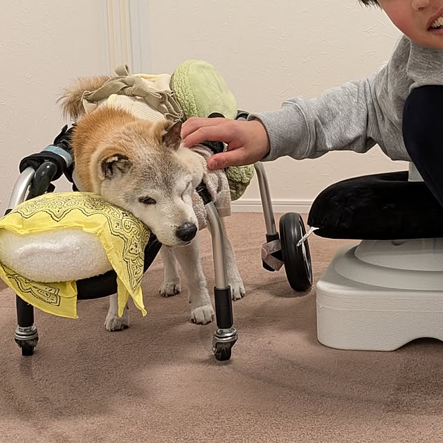 ponhanaさんの部屋