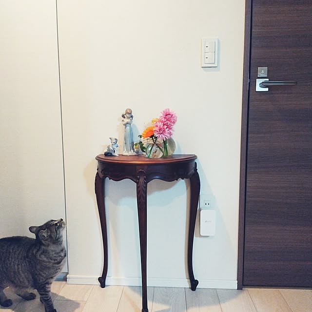 miumiuさんの実例写真