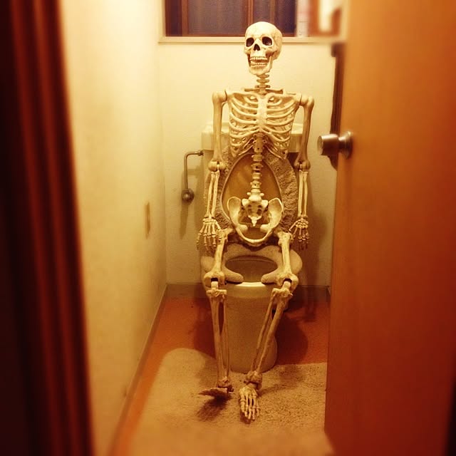 Mayumiさんの実例写真
