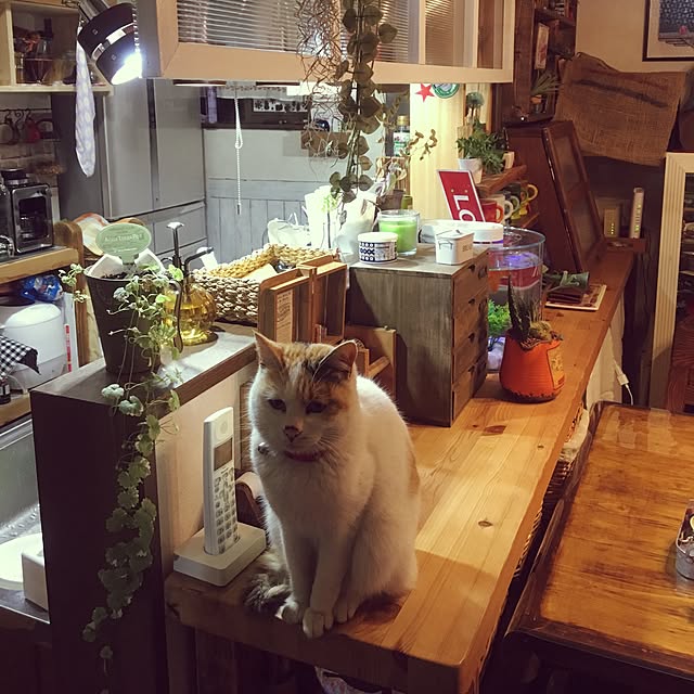 poncocoberryさんの実例写真