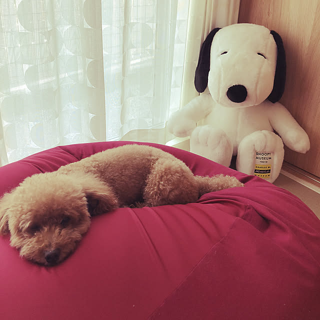 S.fam_houseさんの実例写真