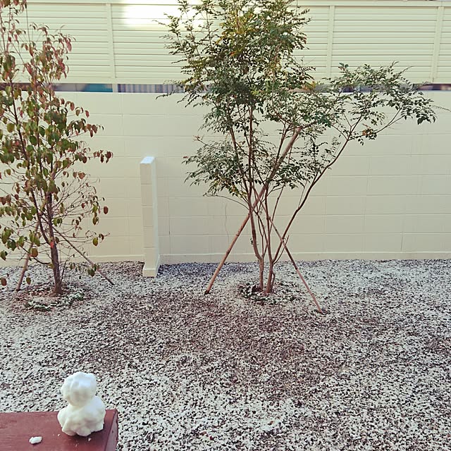 ayaさんの実例写真