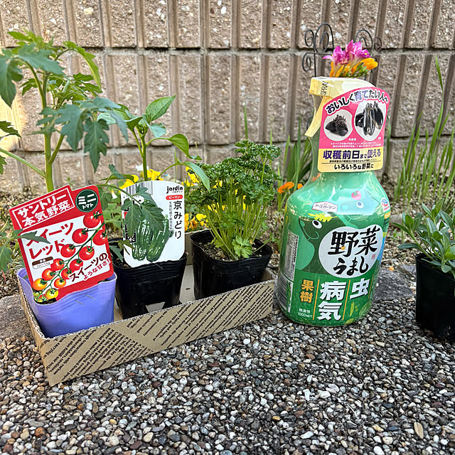 alchoさんの実例写真