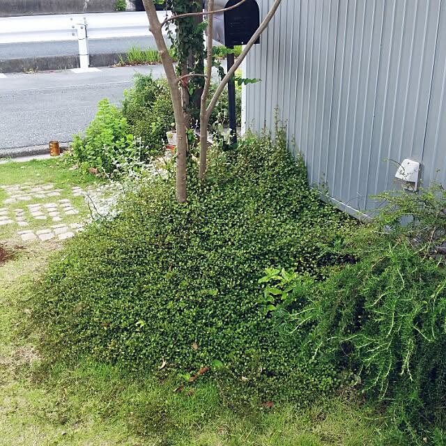unさんの実例写真